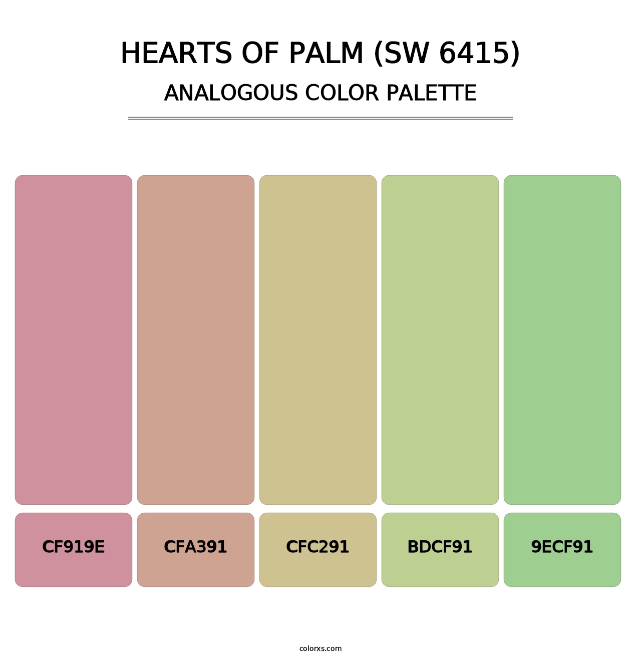 Hearts of Palm (SW 6415) - Analogous Color Palette