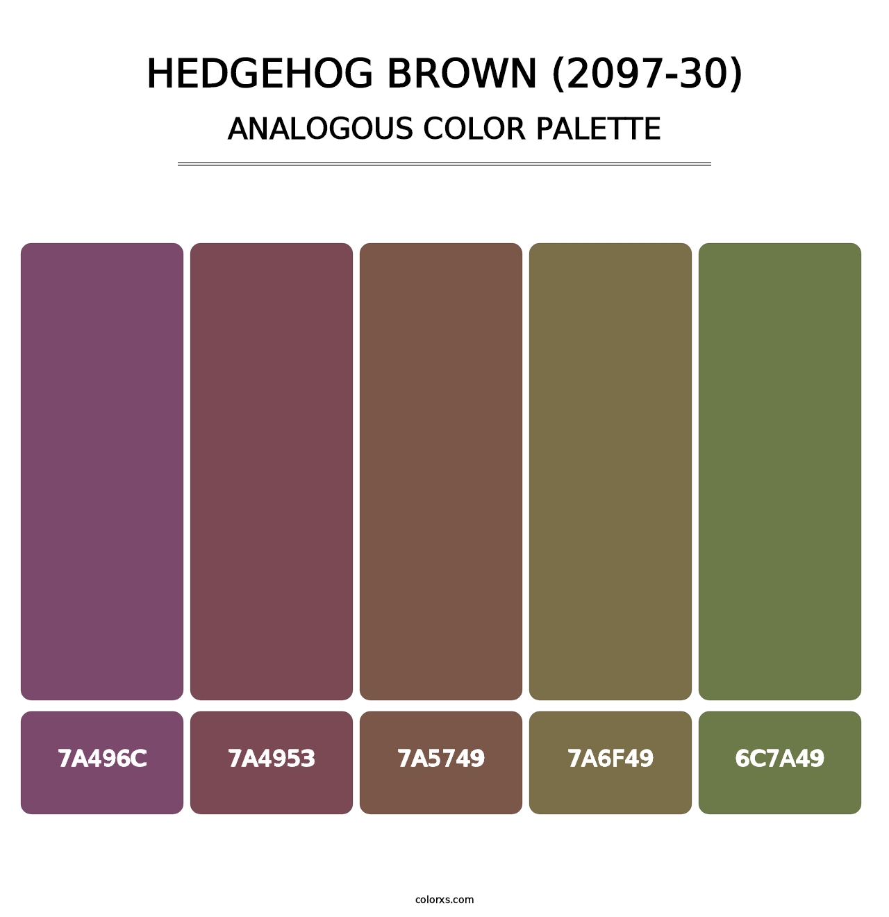 Hedgehog Brown (2097-30) - Analogous Color Palette