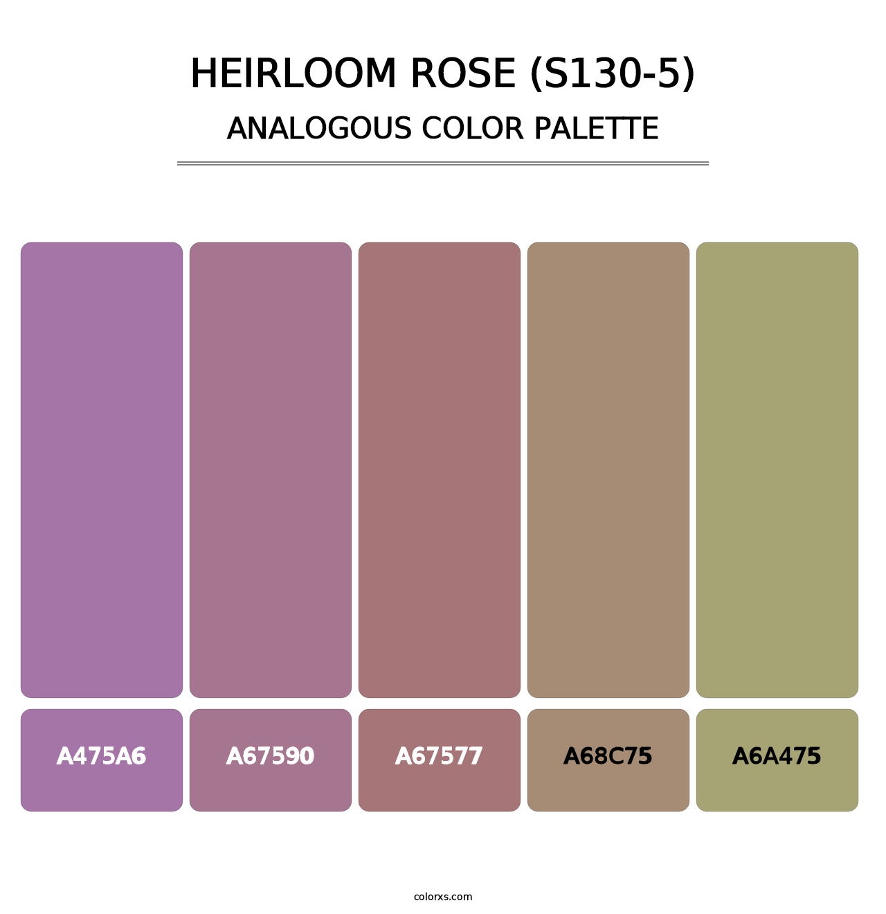 Heirloom Rose (S130-5) - Analogous Color Palette