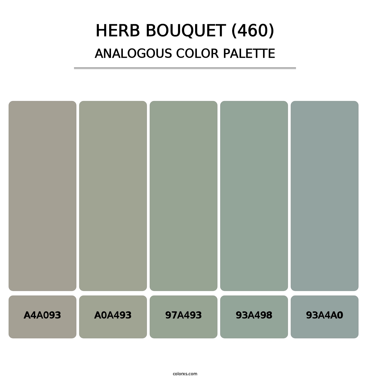 Herb Bouquet (460) - Analogous Color Palette