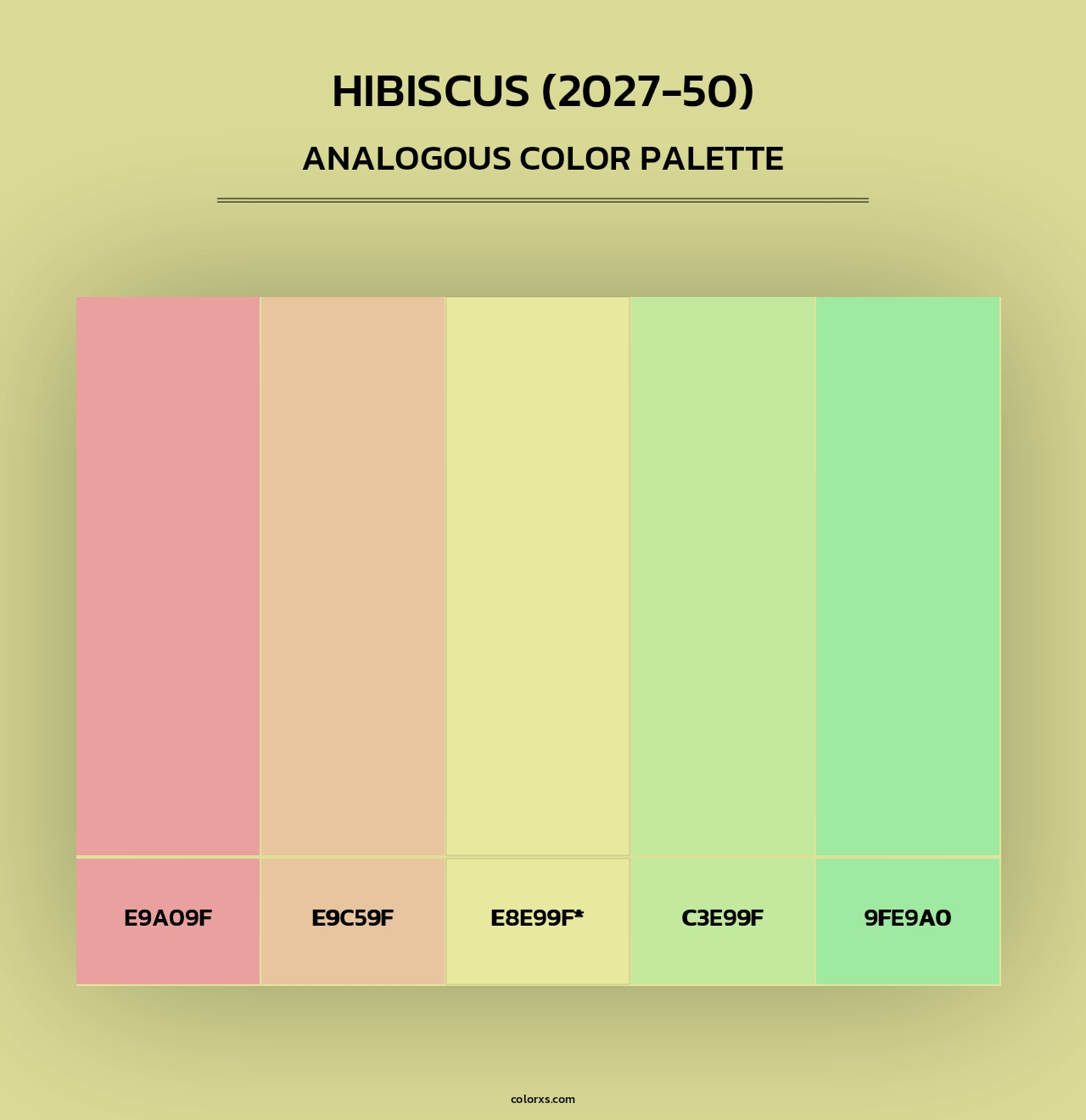 Hibiscus (2027-50) - Analogous Color Palette