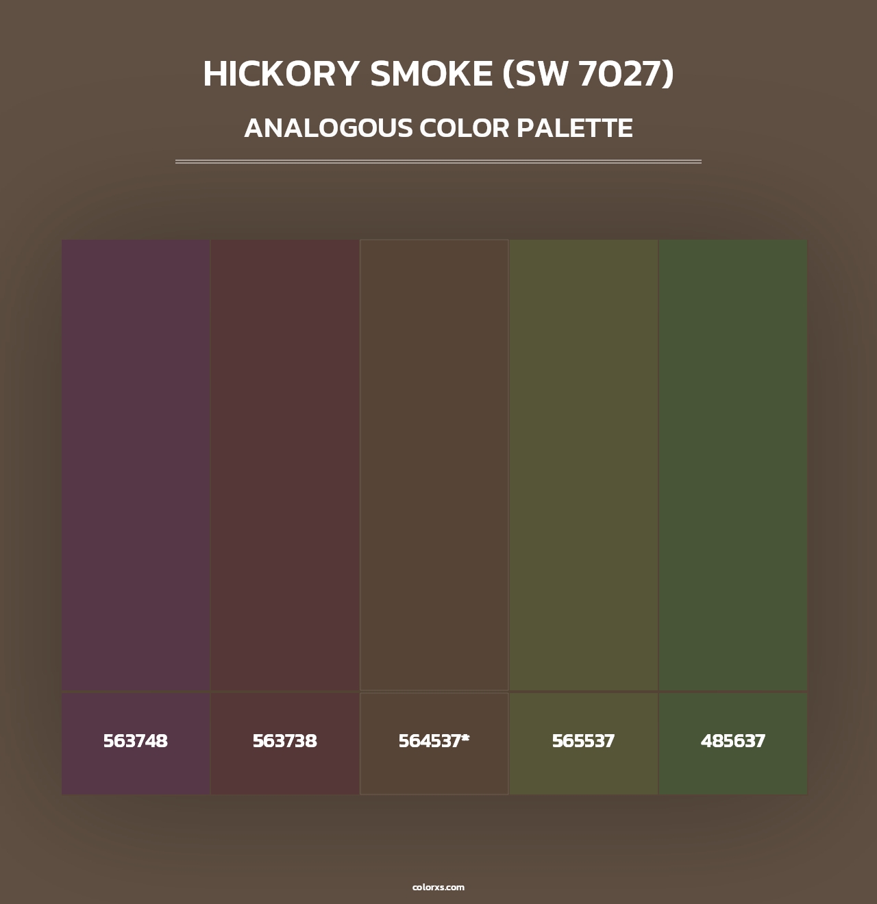 Hickory Smoke (SW 7027) - Analogous Color Palette