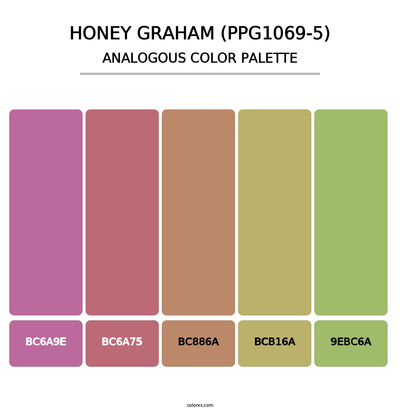 Honey Graham (PPG1069-5) - Analogous Color Palette