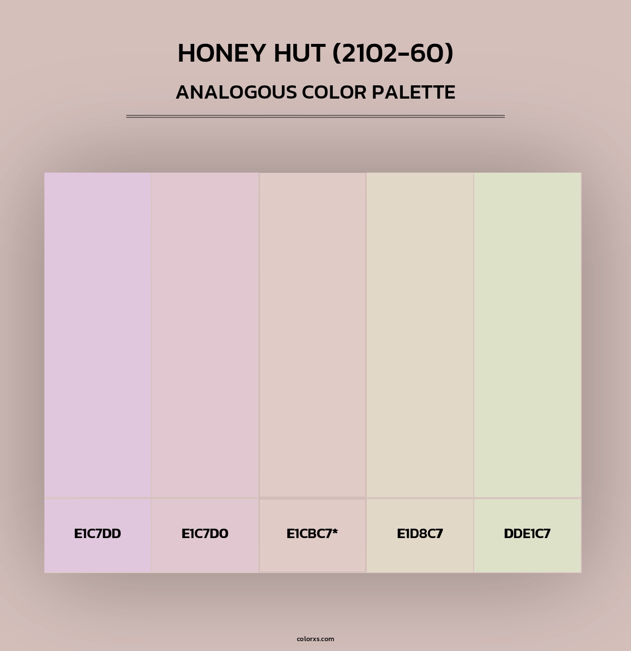 Honey Hut (2102-60) - Analogous Color Palette