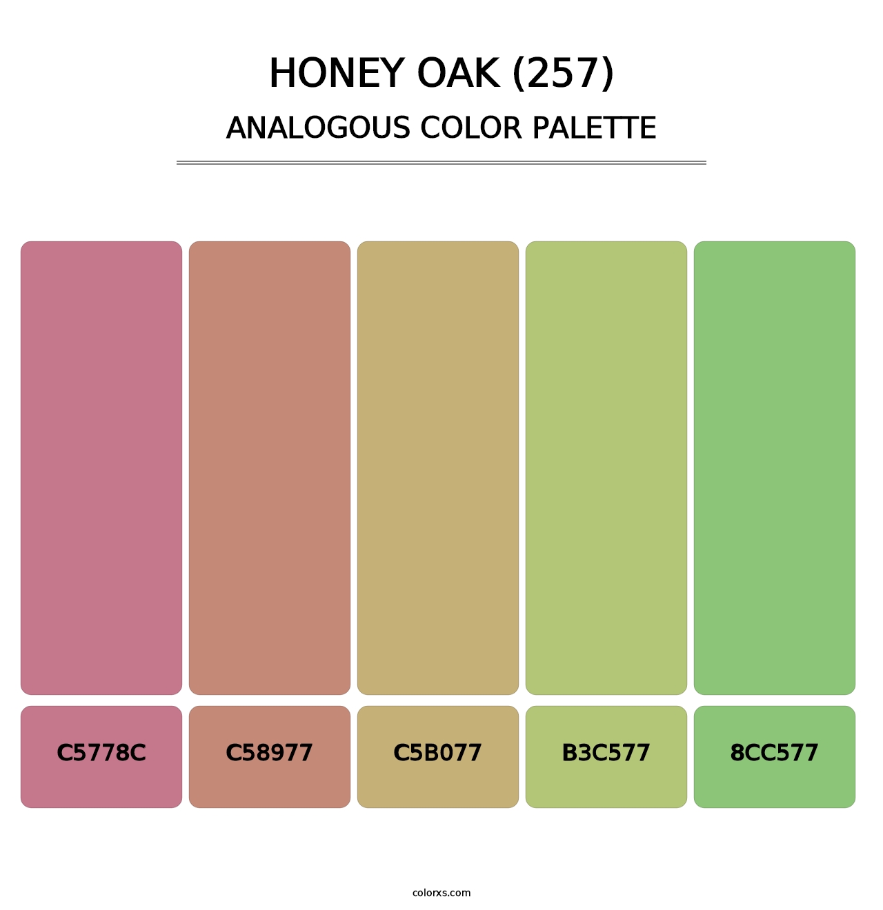 Honey Oak (257) - Analogous Color Palette