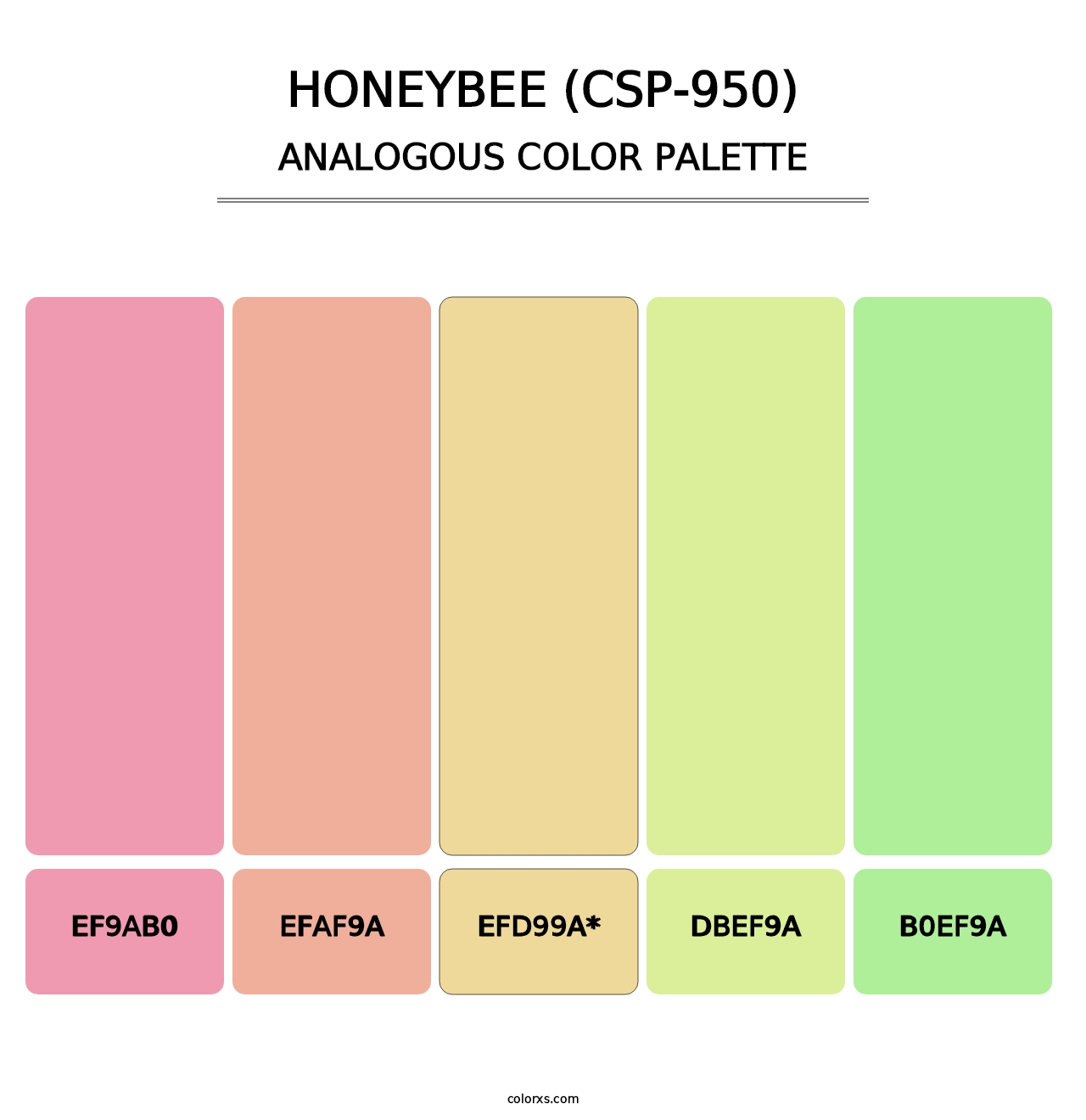 Honeybee (CSP-950) - Analogous Color Palette