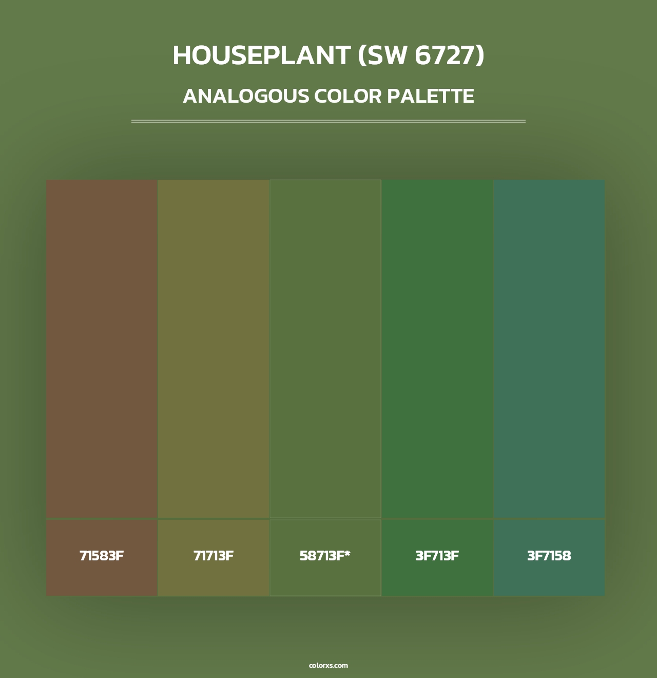 Houseplant (SW 6727) - Analogous Color Palette