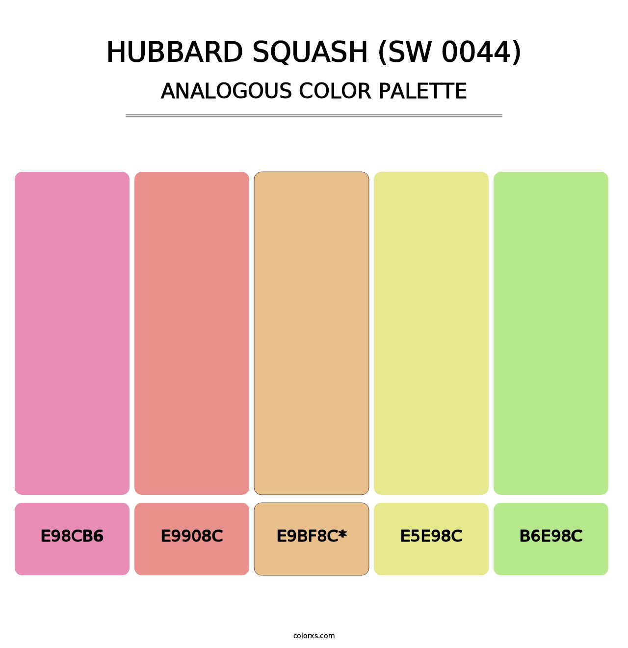 Hubbard Squash (SW 0044) - Analogous Color Palette