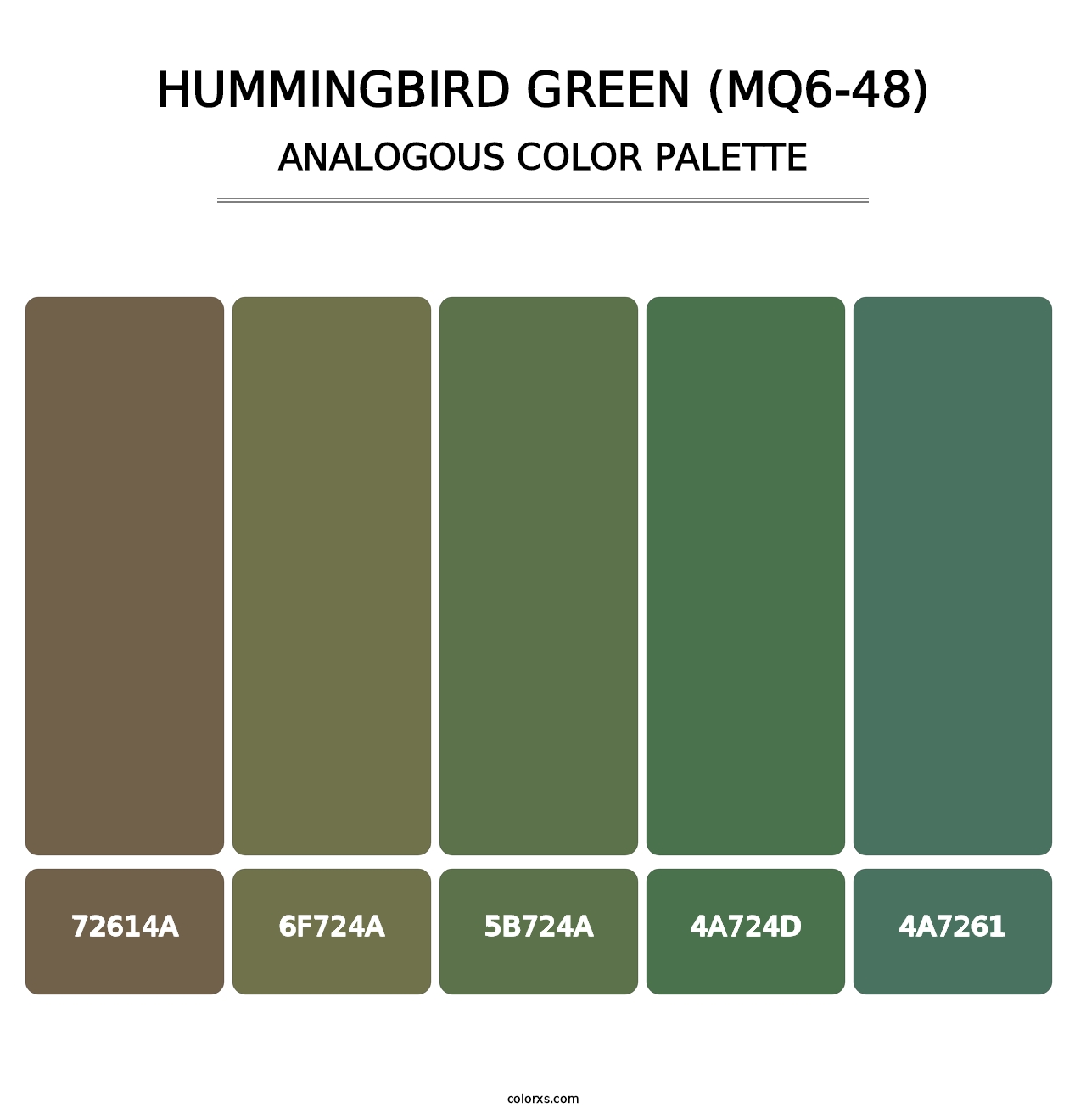 Hummingbird Green (MQ6-48) - Analogous Color Palette