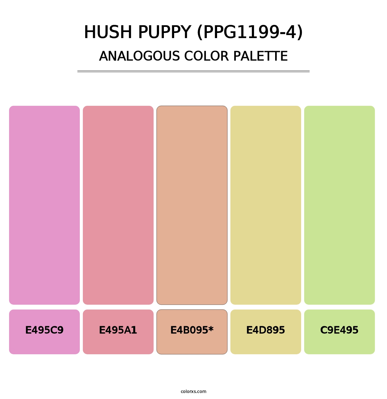 Hush Puppy (PPG1199-4) - Analogous Color Palette