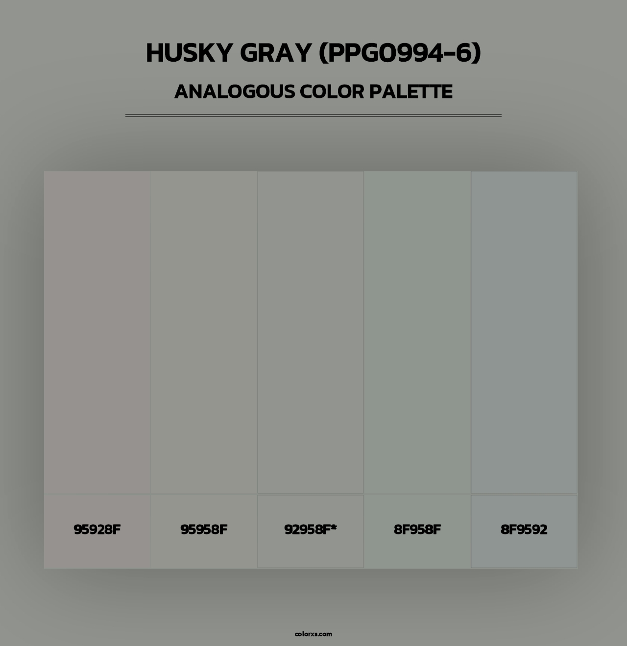 Husky Gray (PPG0994-6) - Analogous Color Palette