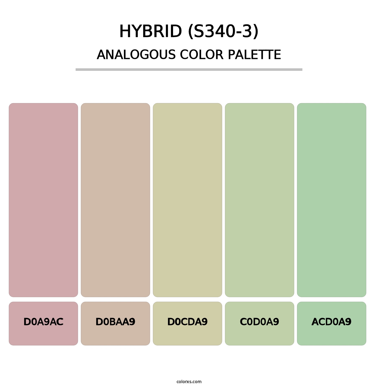 Hybrid (S340-3) - Analogous Color Palette