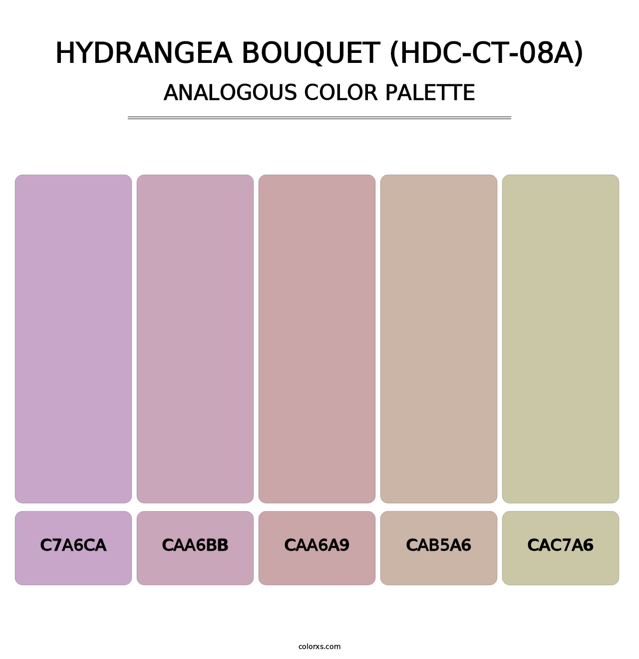 Hydrangea Bouquet (HDC-CT-08A) - Analogous Color Palette