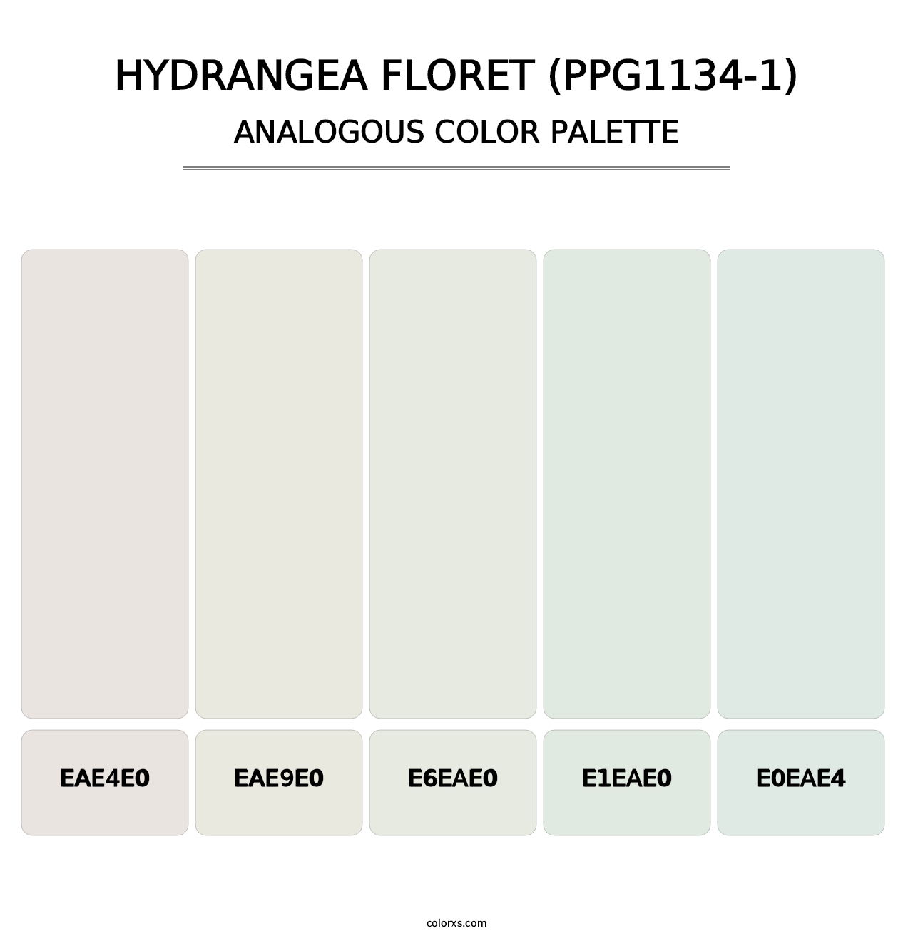 Hydrangea Floret (PPG1134-1) - Analogous Color Palette