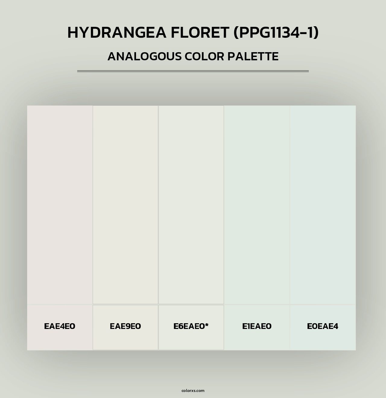 Hydrangea Floret (PPG1134-1) - Analogous Color Palette