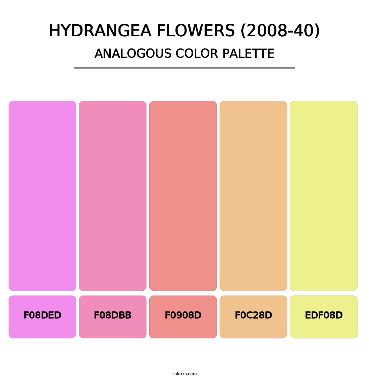 Hydrangea Flowers (2008-40) - Analogous Color Palette