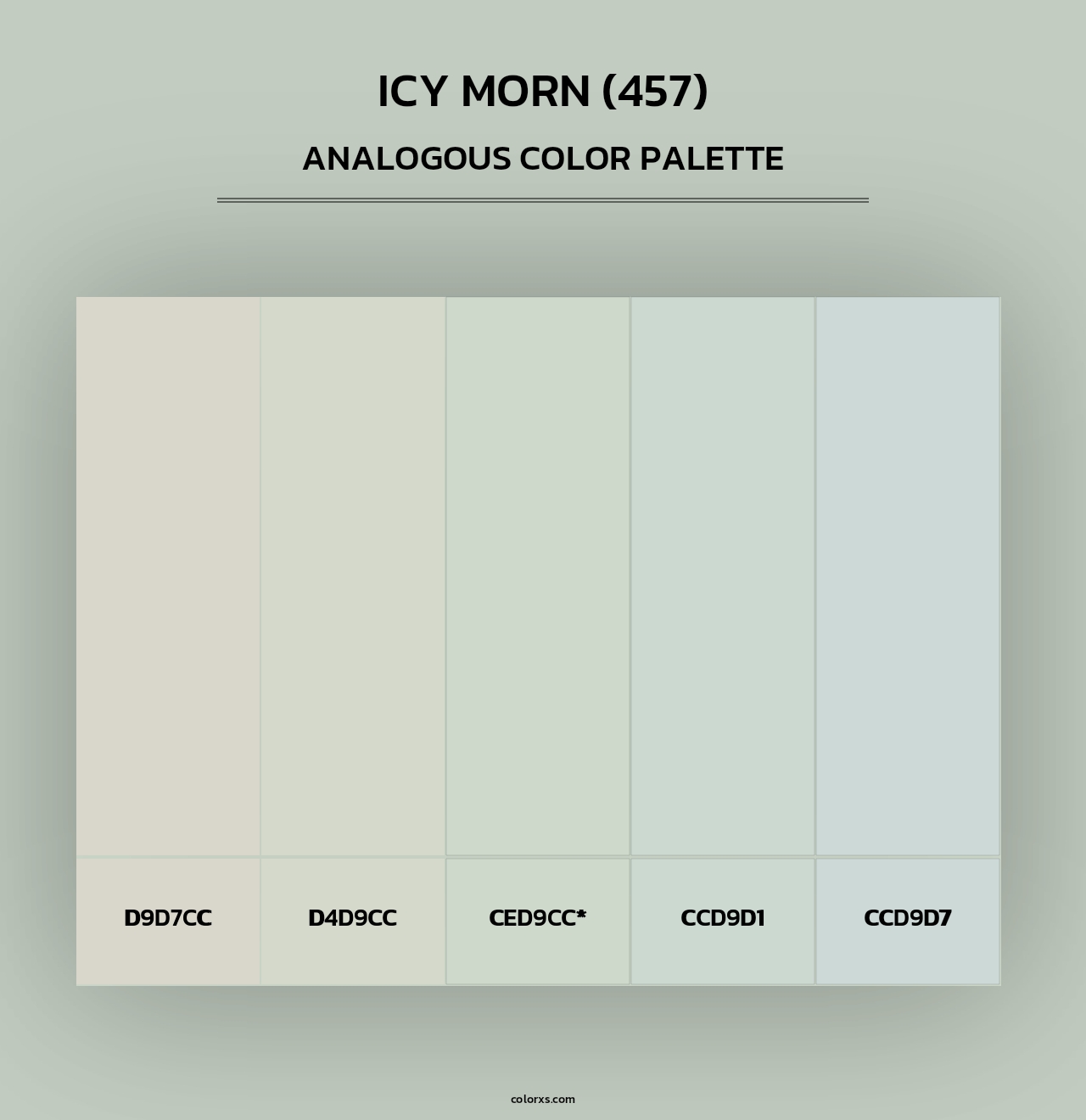 Icy Morn (457) - Analogous Color Palette