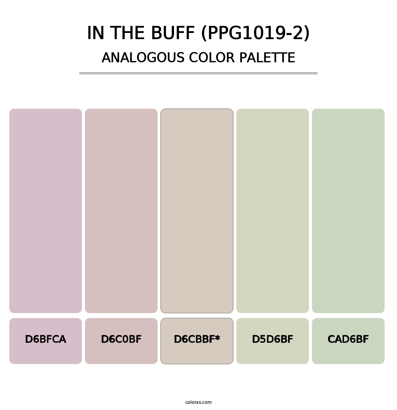 In The Buff (PPG1019-2) - Analogous Color Palette