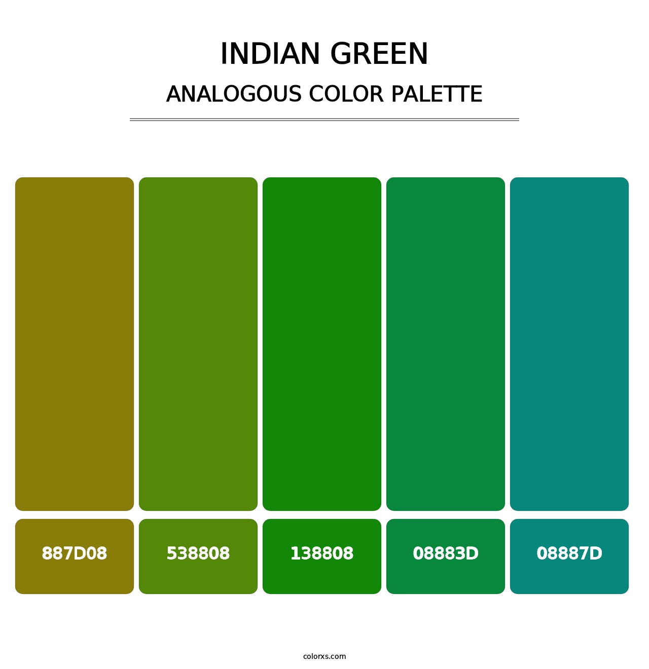 Indian Green - Analogous Color Palette