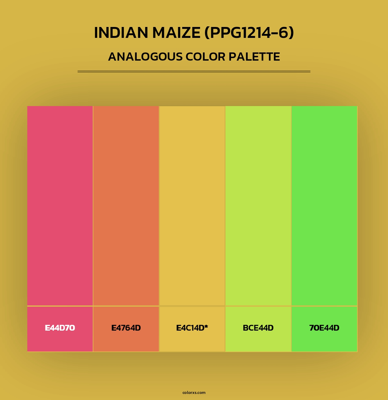 Indian Maize (PPG1214-6) - Analogous Color Palette