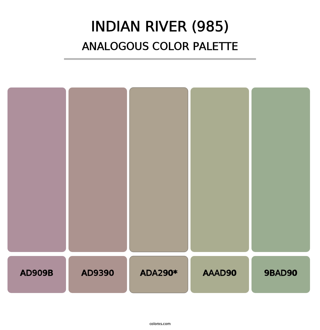 Indian River (985) - Analogous Color Palette