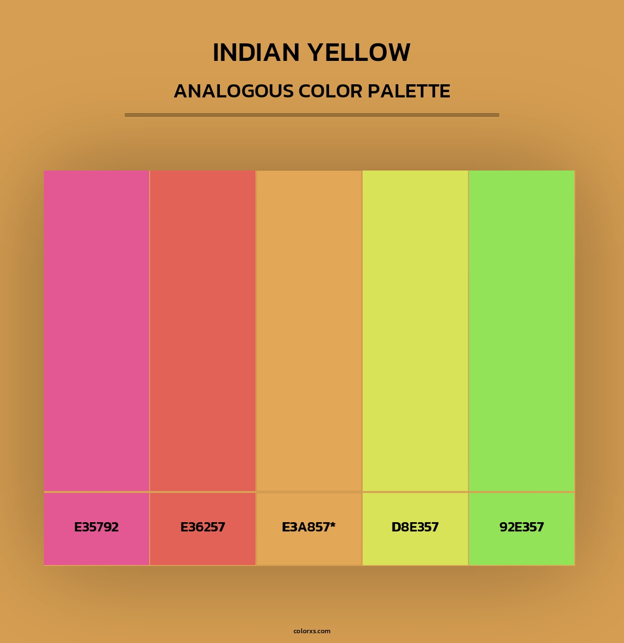 Indian Yellow - Analogous Color Palette