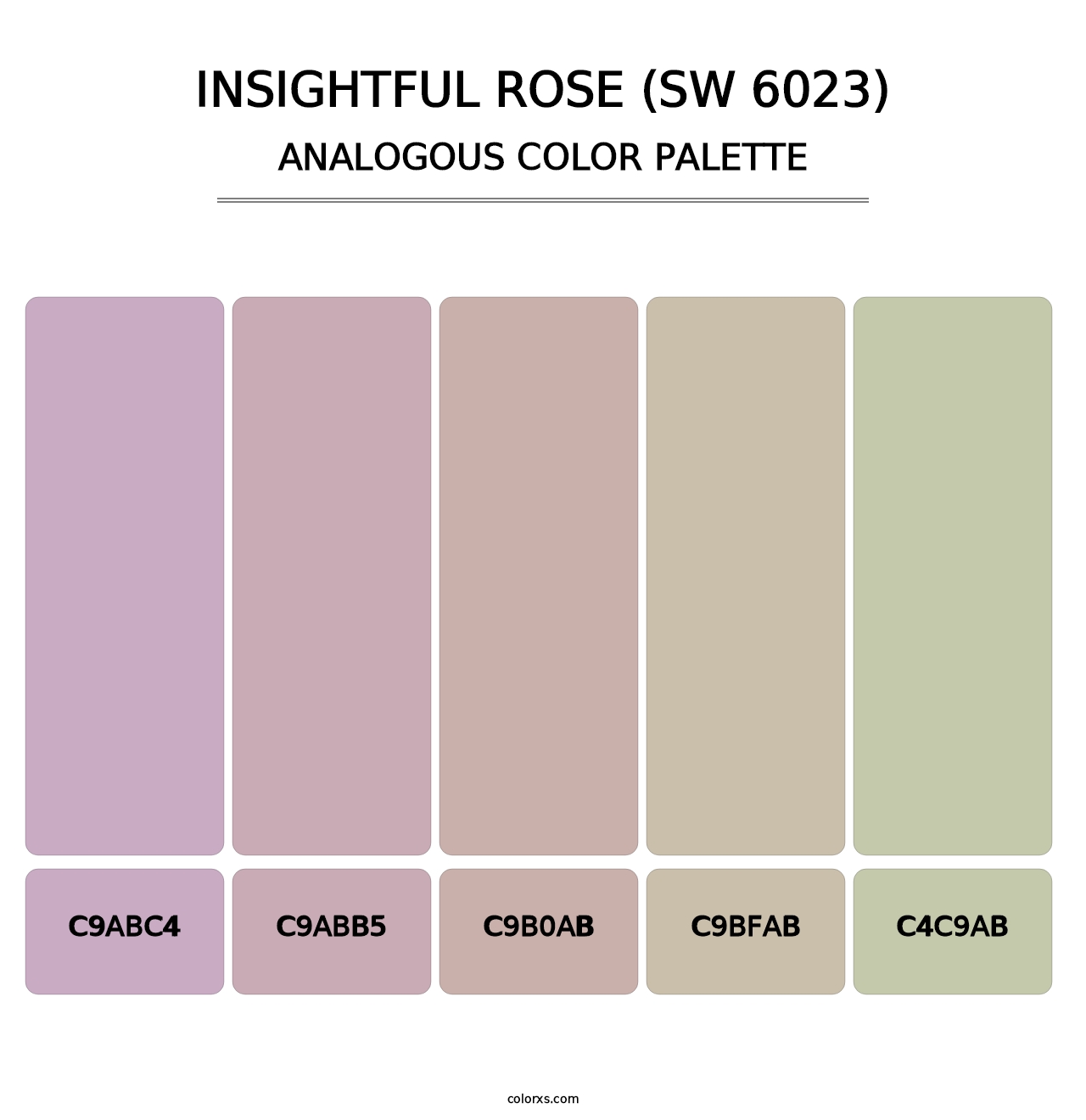 Insightful Rose (SW 6023) - Analogous Color Palette