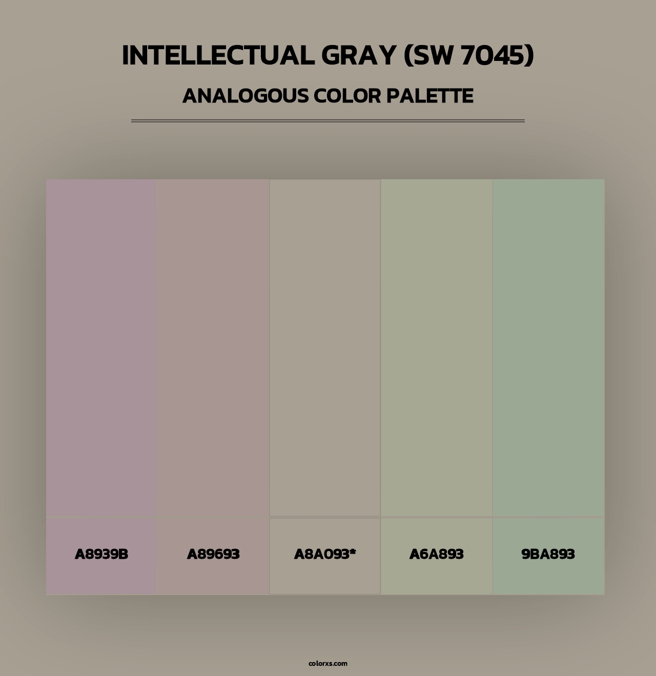 Intellectual Gray (SW 7045) - Analogous Color Palette