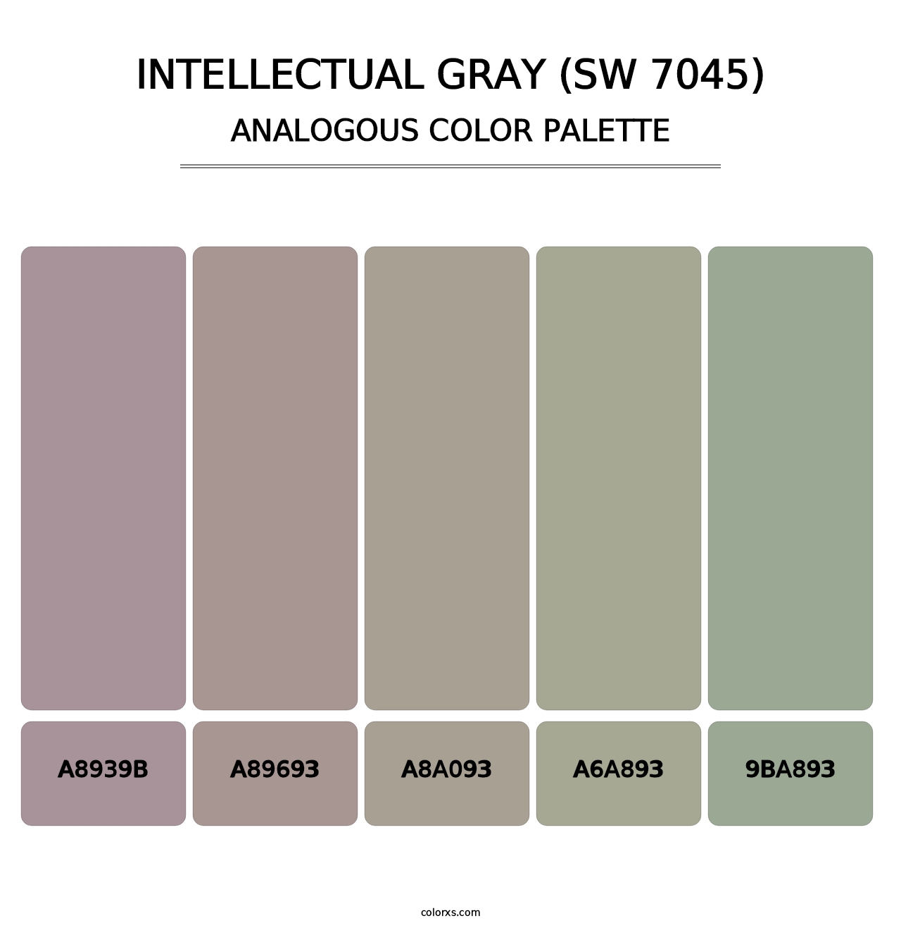 Intellectual Gray (SW 7045) - Analogous Color Palette