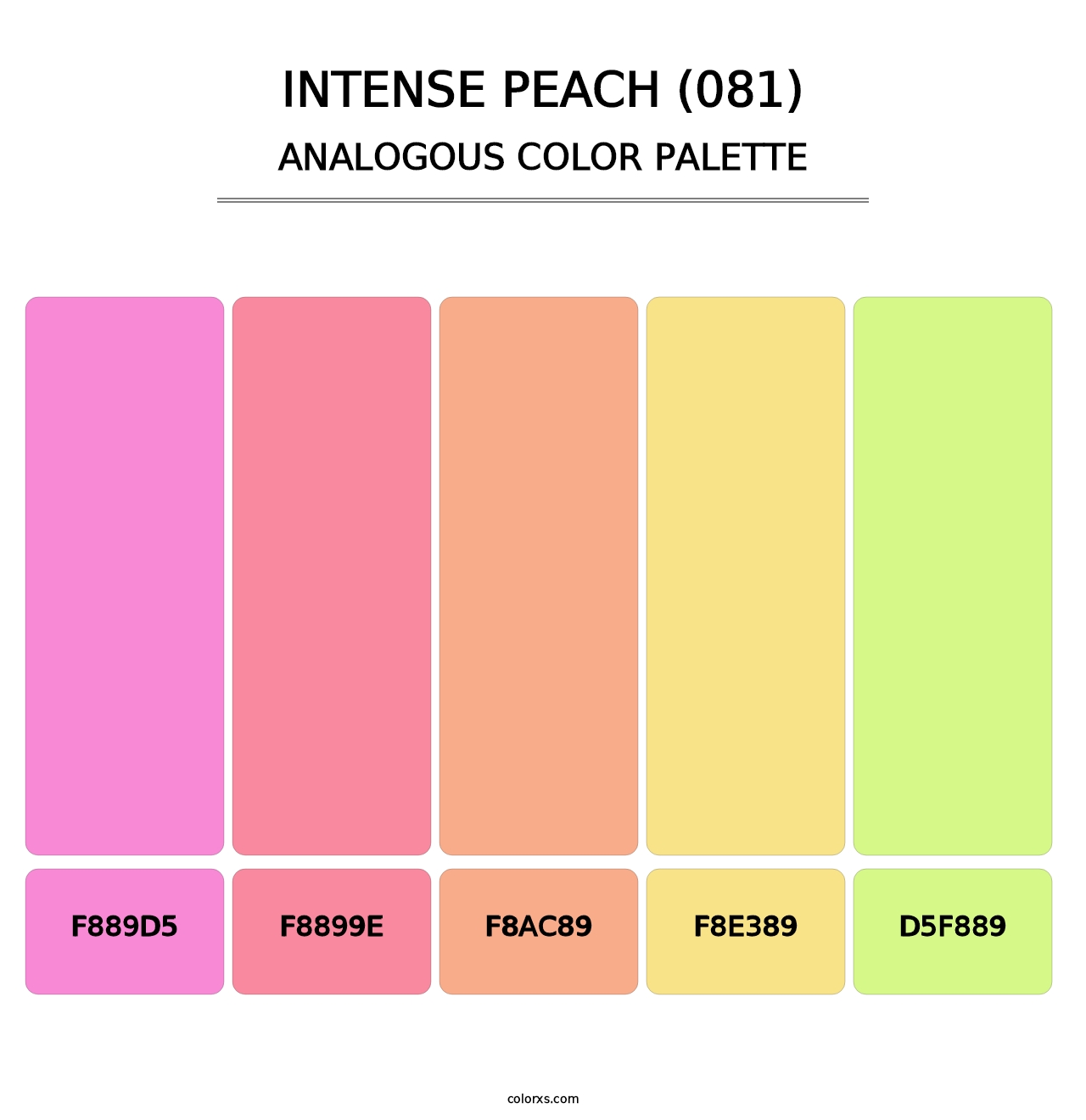 Intense Peach (081) - Analogous Color Palette