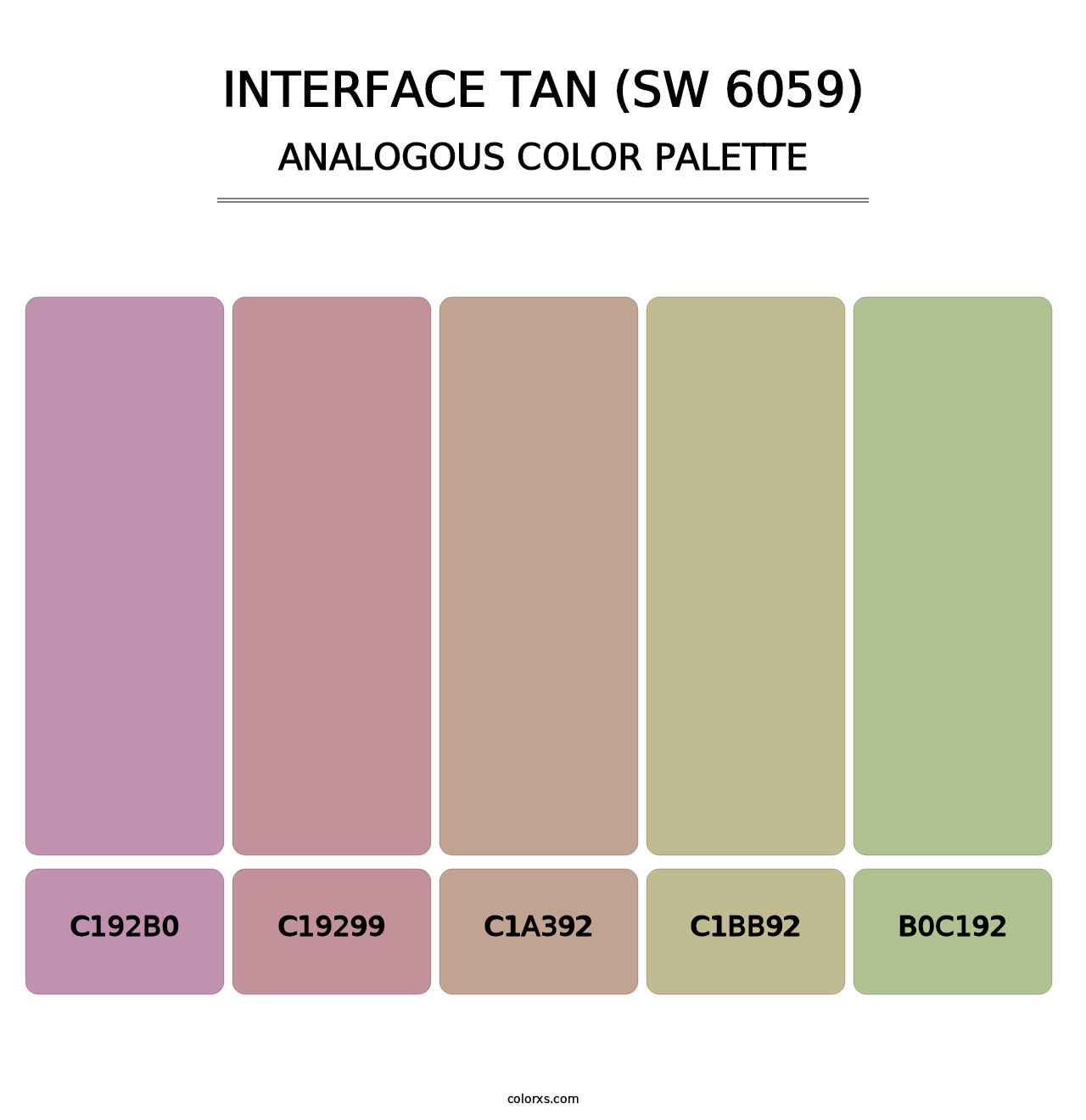 Interface Tan (SW 6059) - Analogous Color Palette