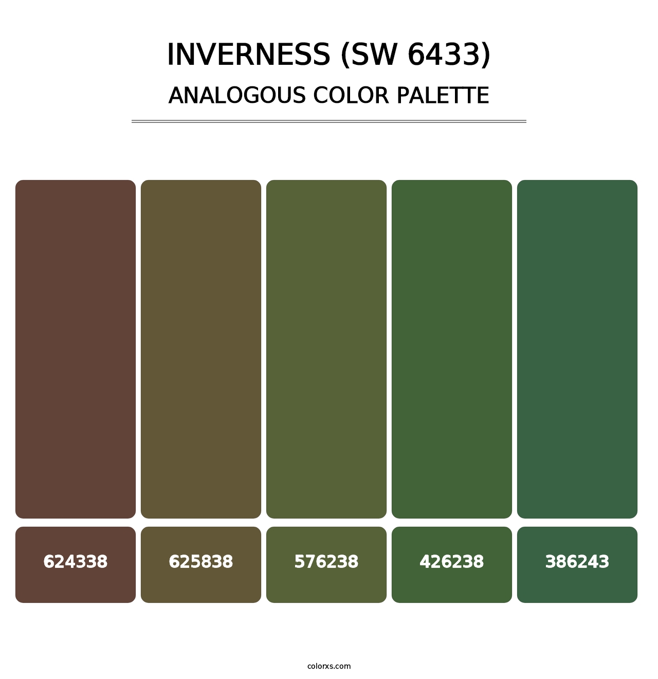 Inverness (SW 6433) - Analogous Color Palette