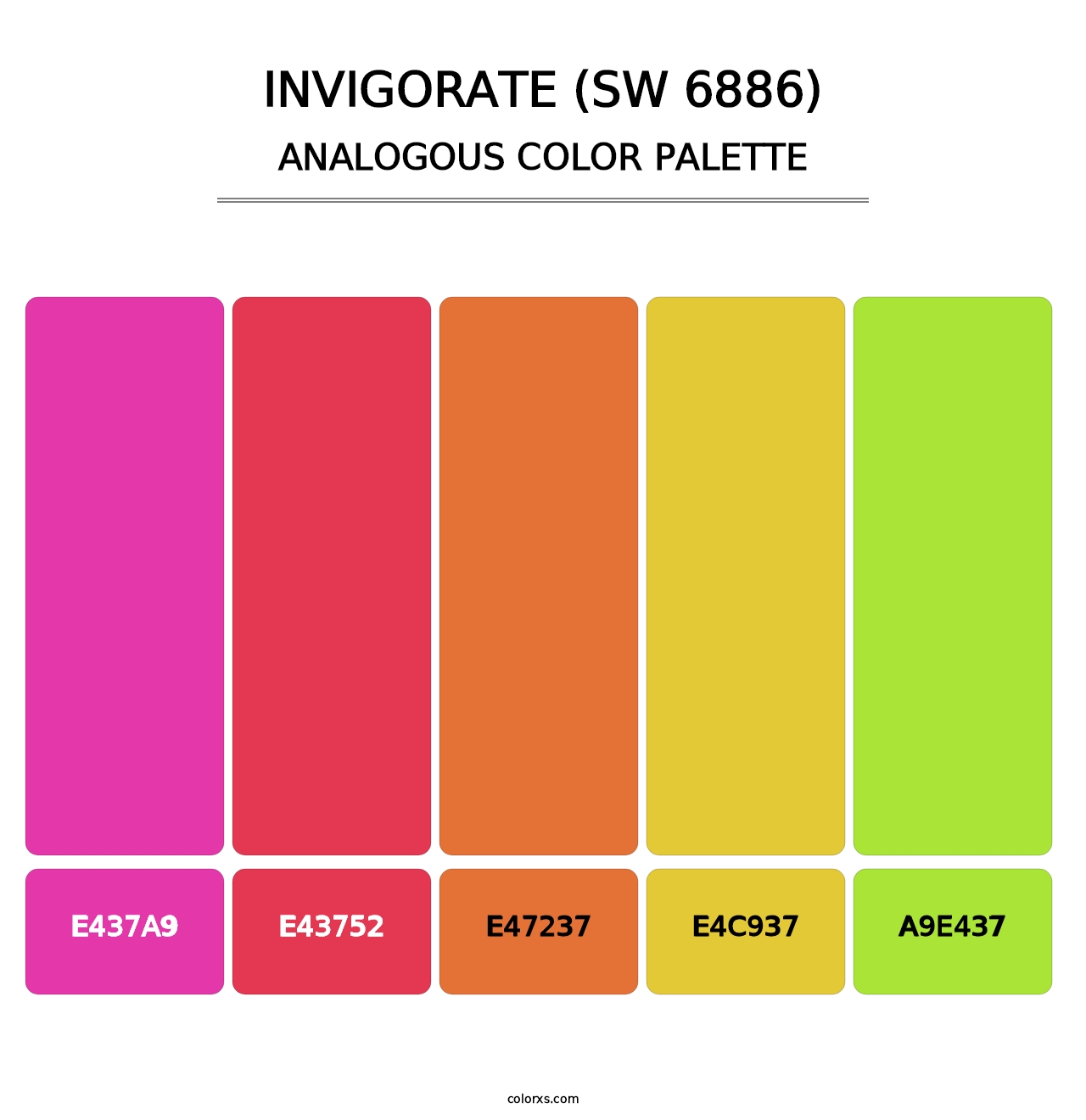 Invigorate (SW 6886) - Analogous Color Palette