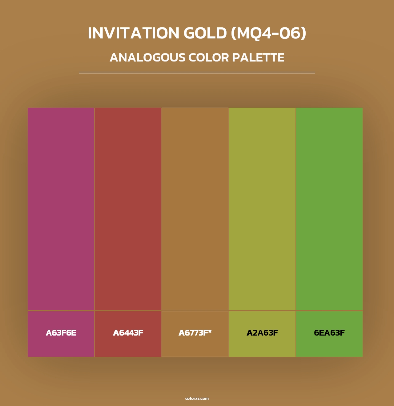 Invitation Gold (MQ4-06) - Analogous Color Palette
