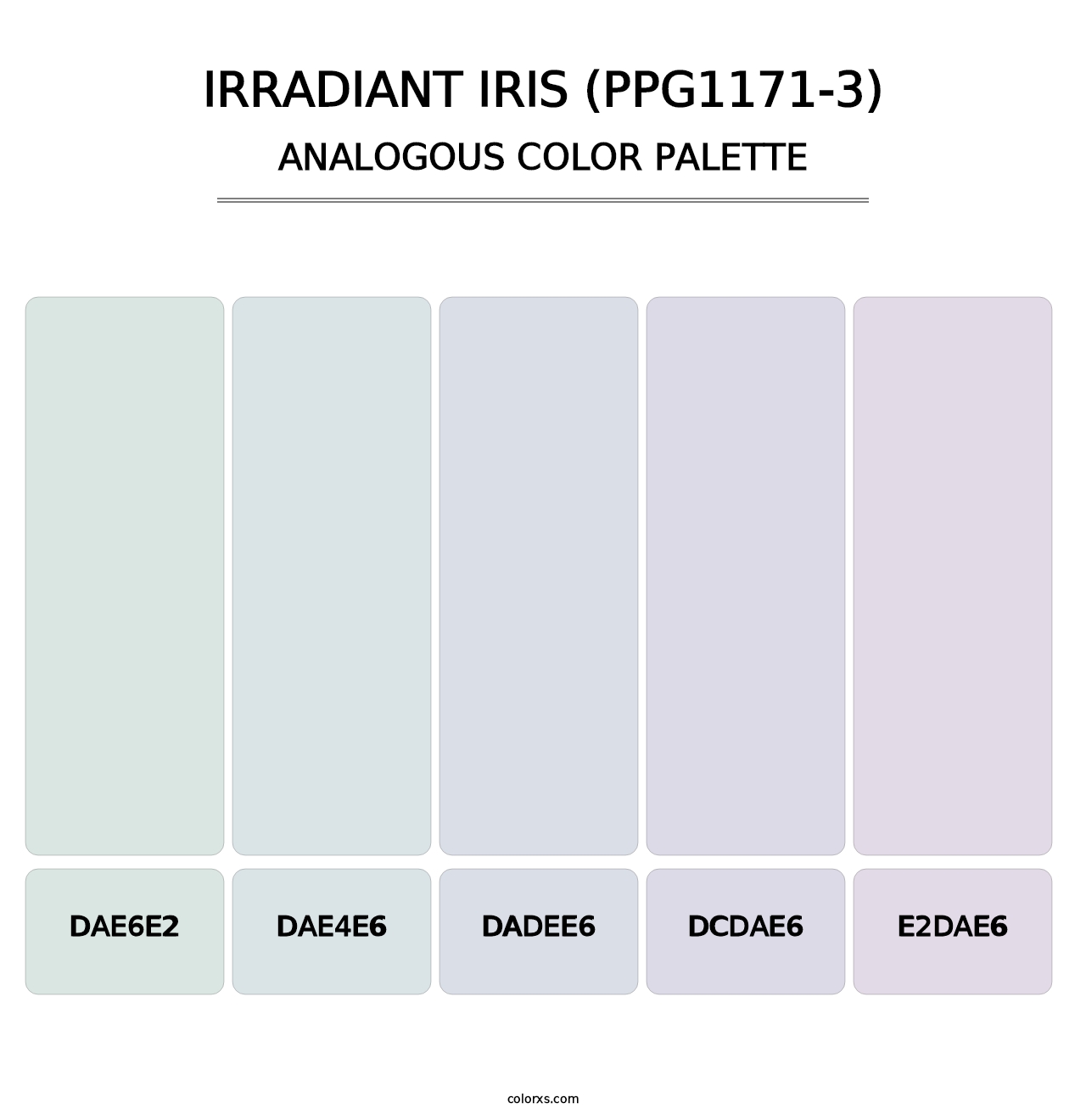Irradiant Iris (PPG1171-3) - Analogous Color Palette