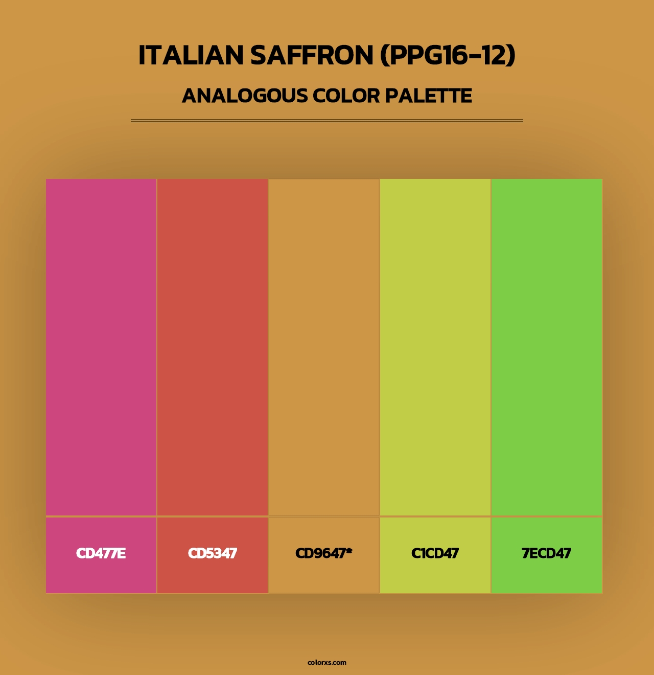 Italian Saffron (PPG16-12) - Analogous Color Palette