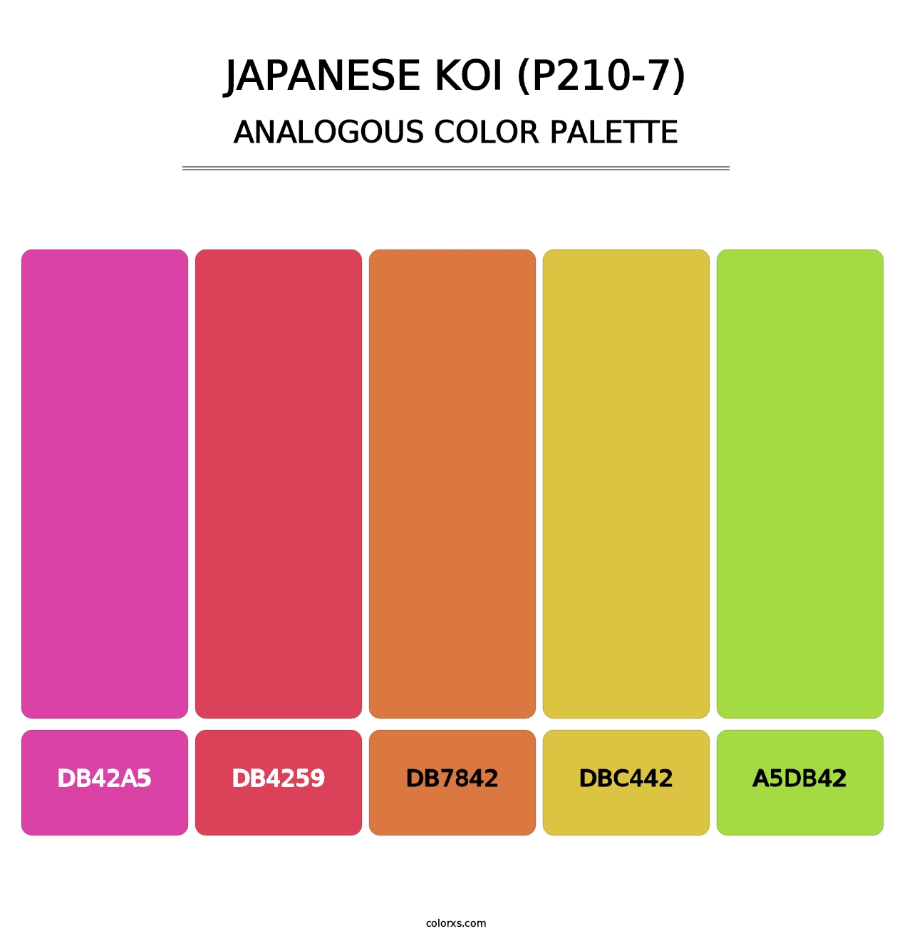 Japanese Koi (P210-7) - Analogous Color Palette
