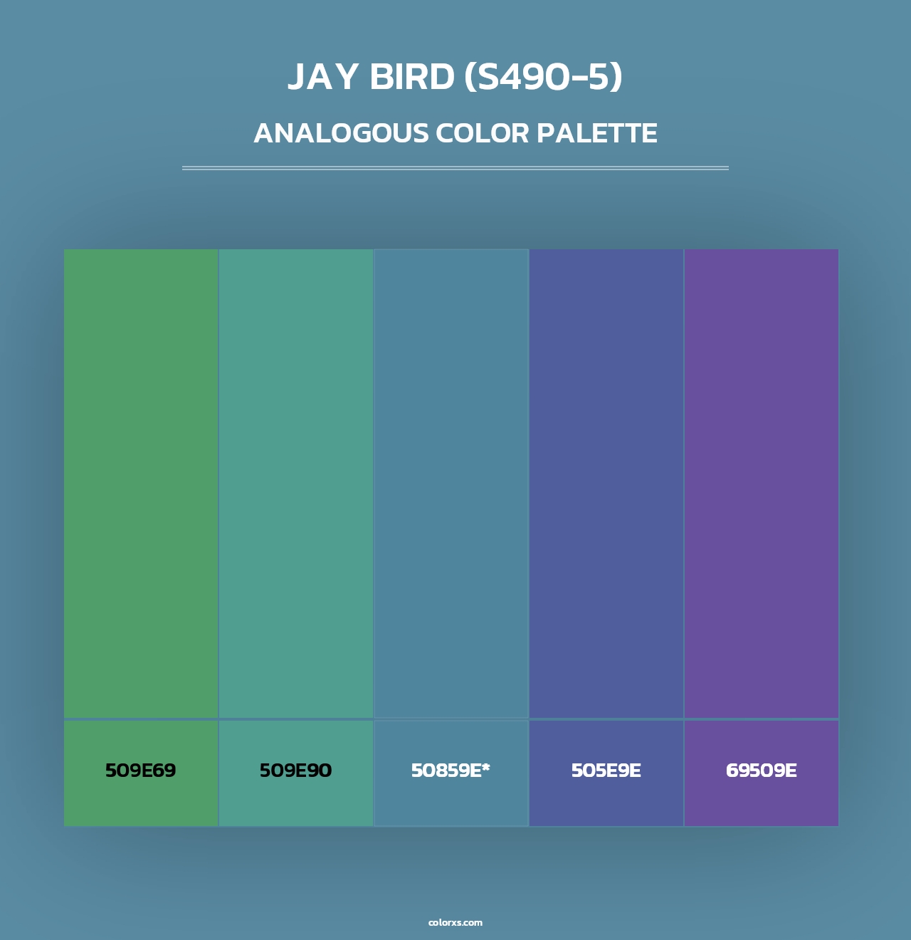 Jay Bird (S490-5) - Analogous Color Palette