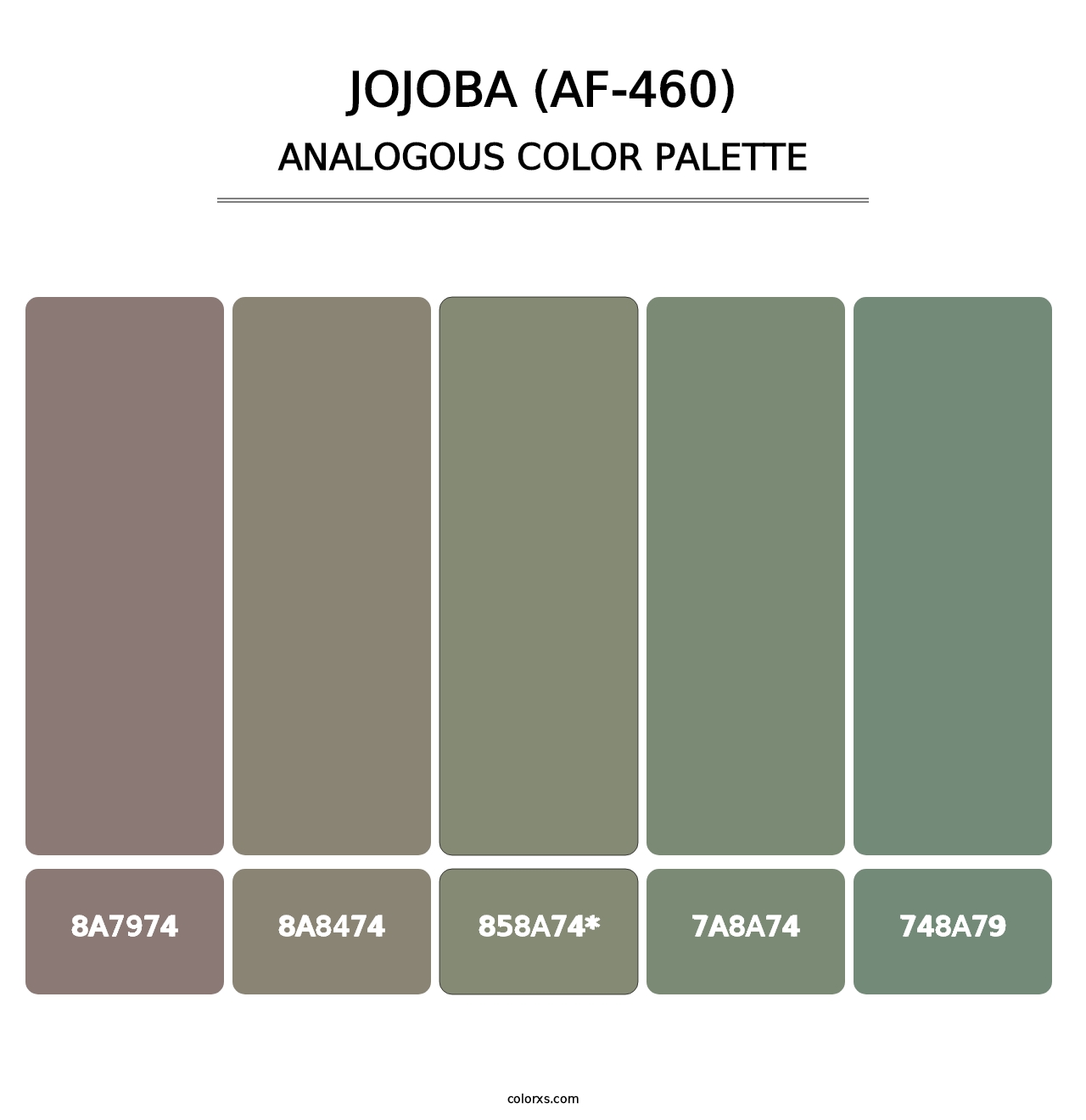 Jojoba (AF-460) - Analogous Color Palette