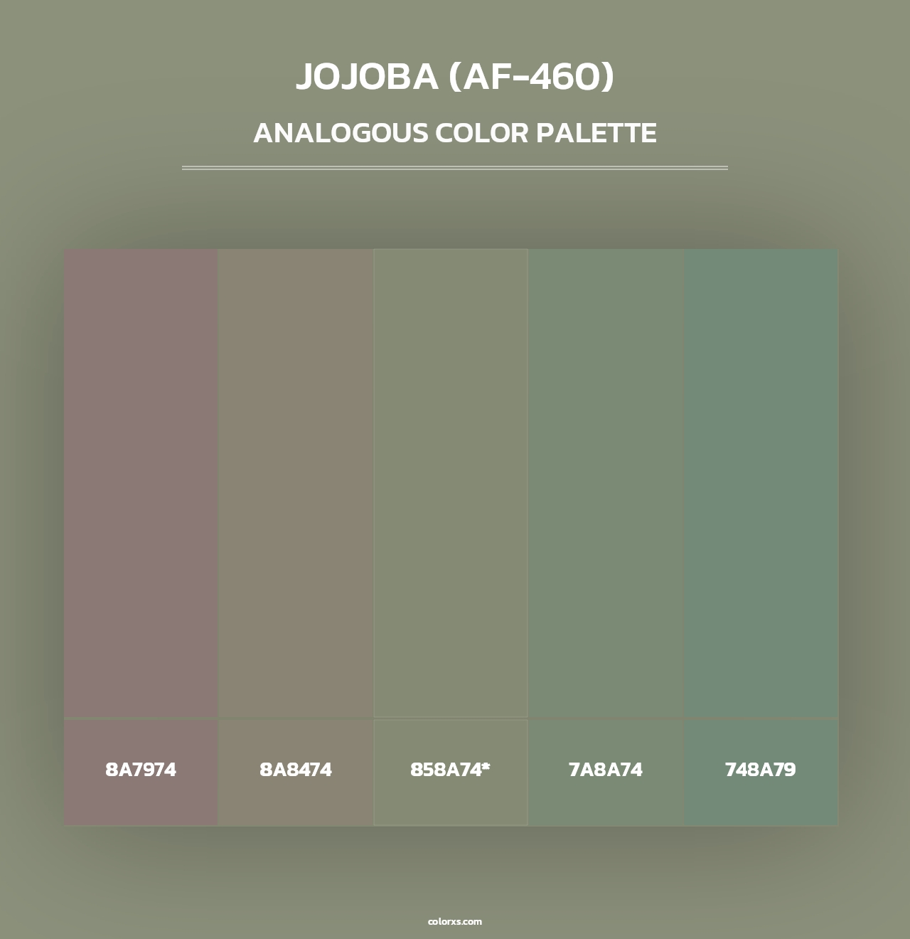Jojoba (AF-460) - Analogous Color Palette