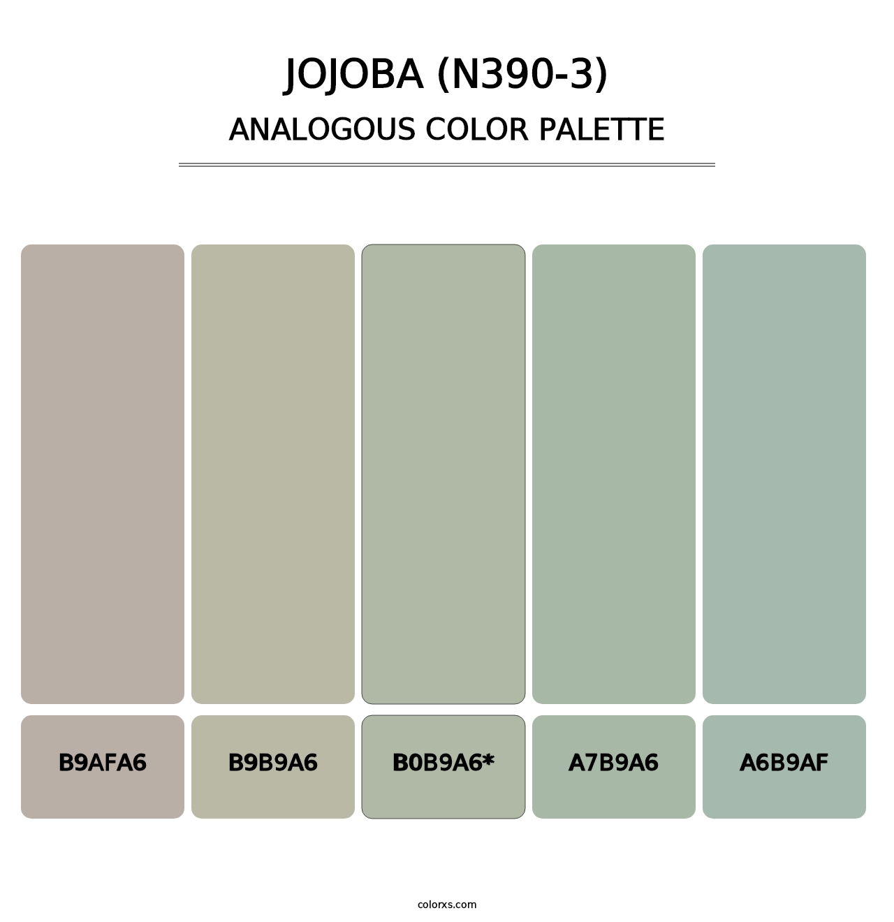 Jojoba (N390-3) - Analogous Color Palette