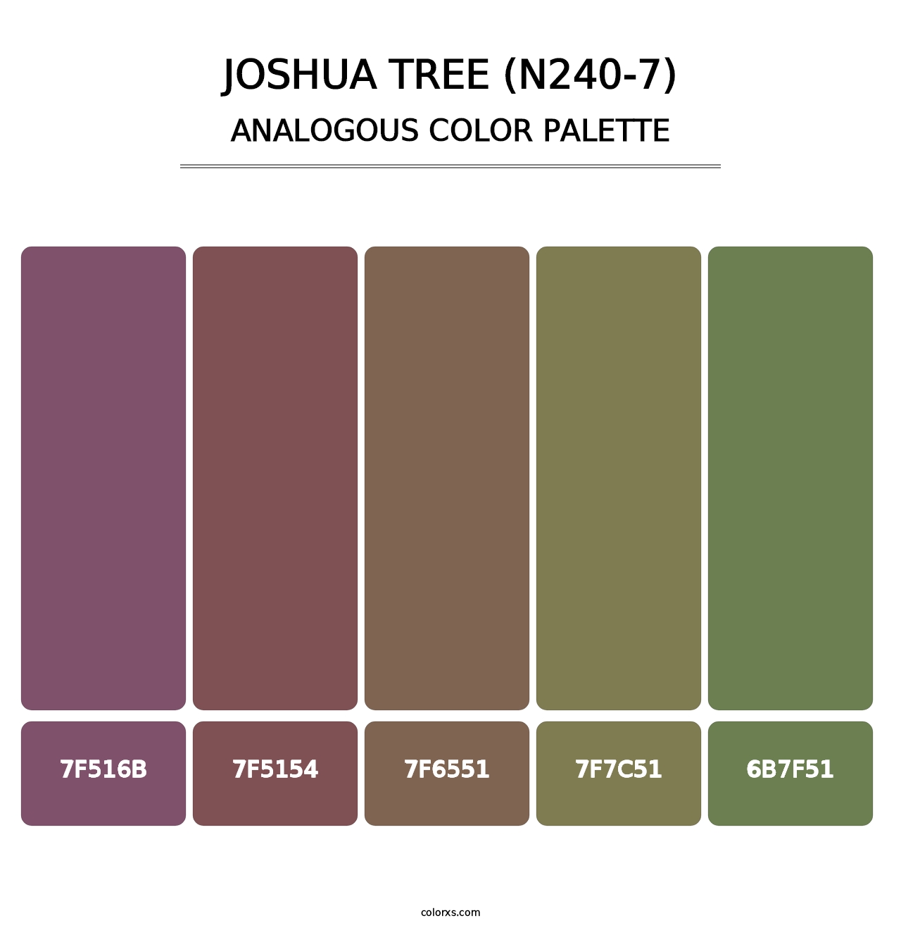 Joshua Tree (N240-7) - Analogous Color Palette