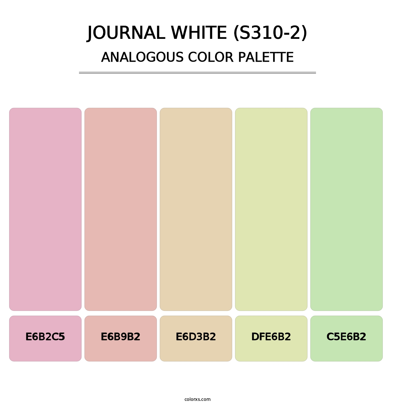 Journal White (S310-2) - Analogous Color Palette
