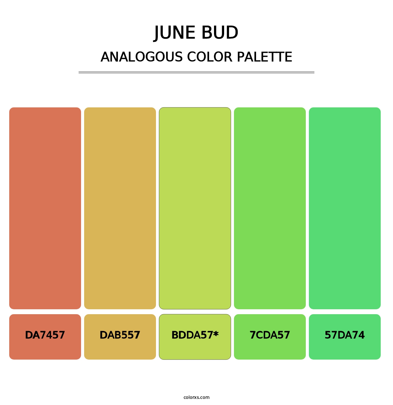 June Bud - Analogous Color Palette