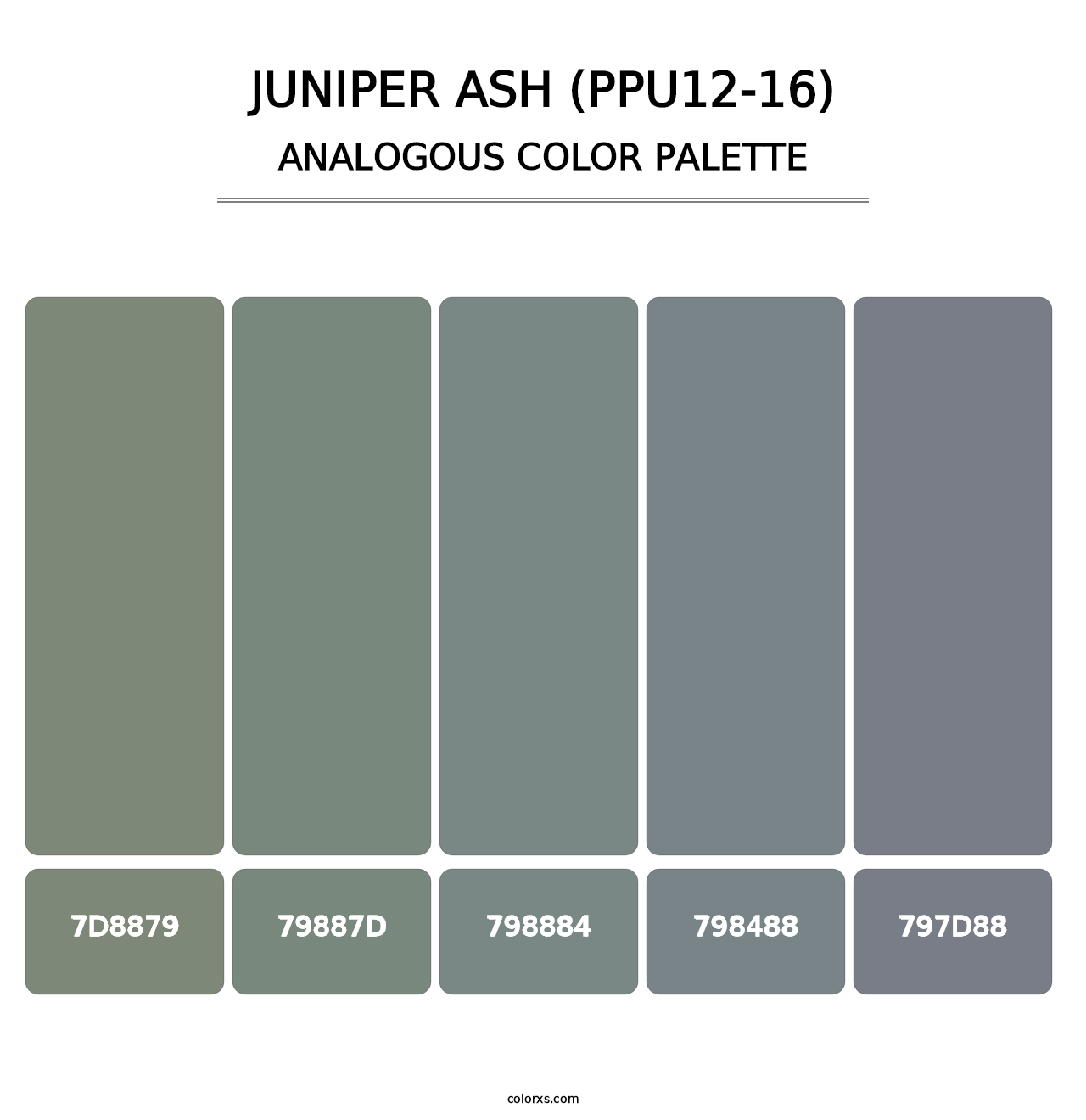 Juniper Ash (PPU12-16) - Analogous Color Palette