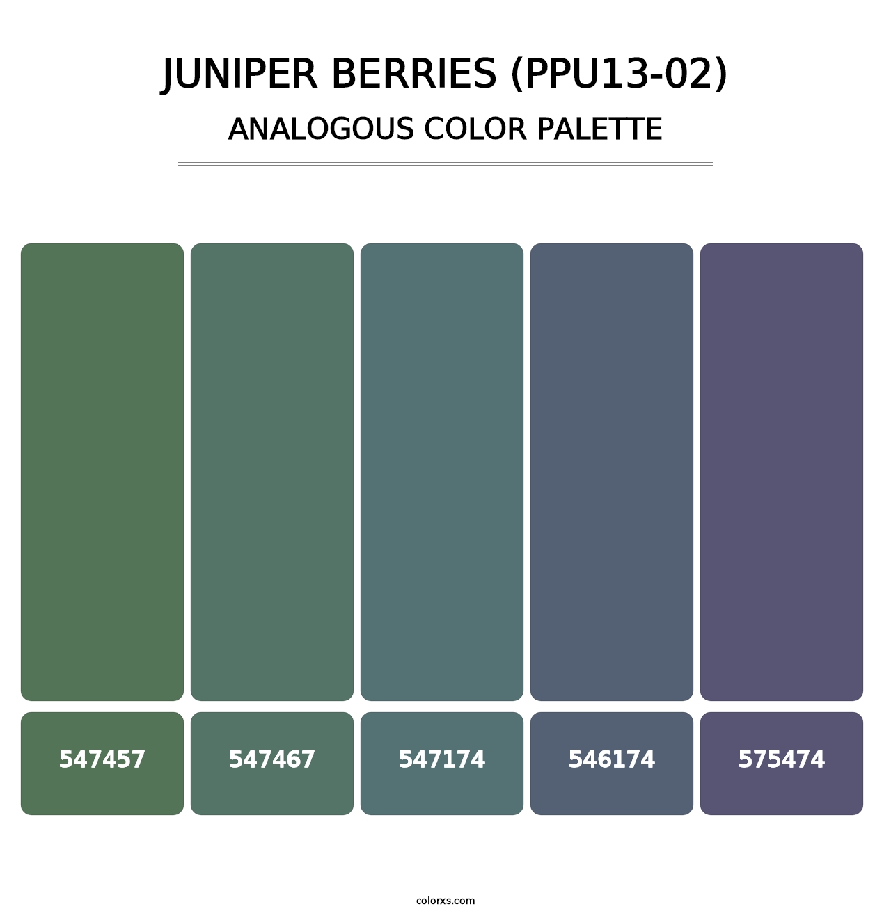 Juniper Berries (PPU13-02) - Analogous Color Palette