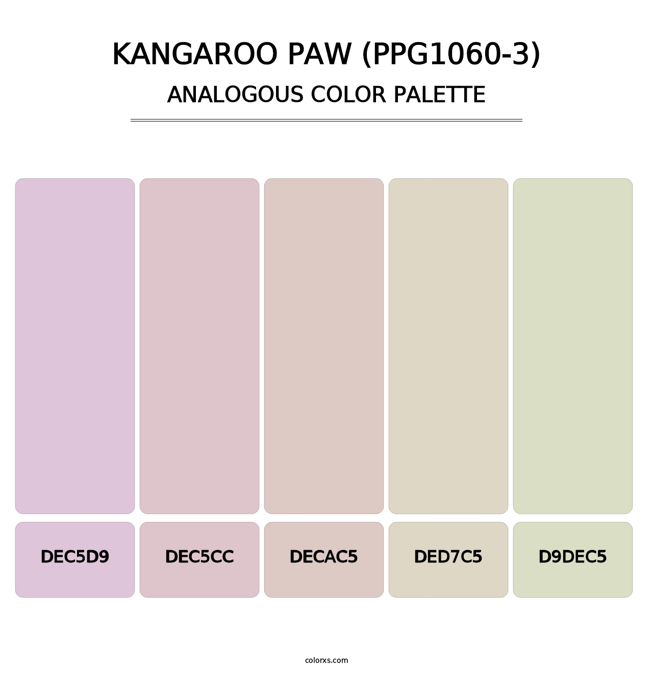 Kangaroo Paw (PPG1060-3) - Analogous Color Palette