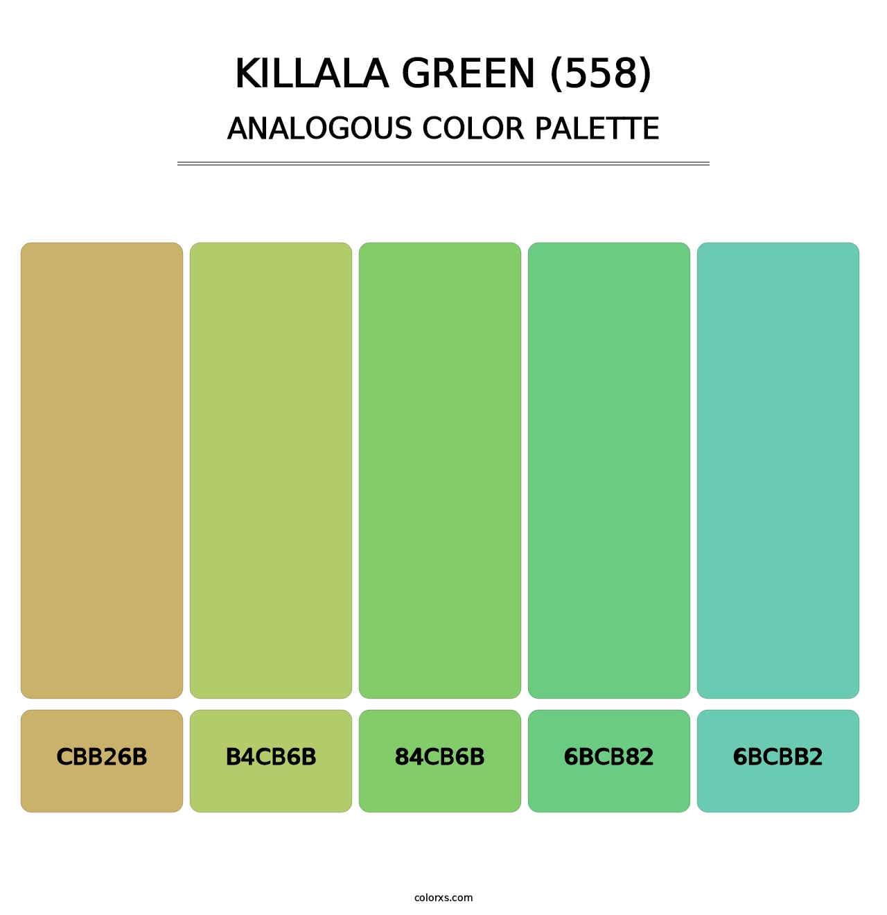 Killala Green (558) - Analogous Color Palette