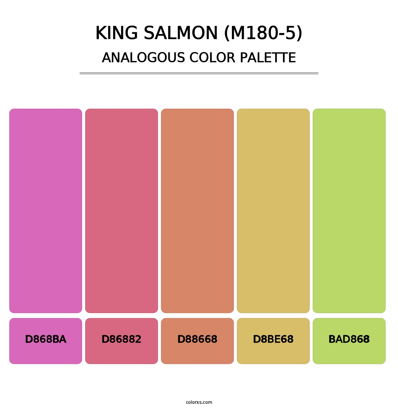 King Salmon (M180-5) - Analogous Color Palette