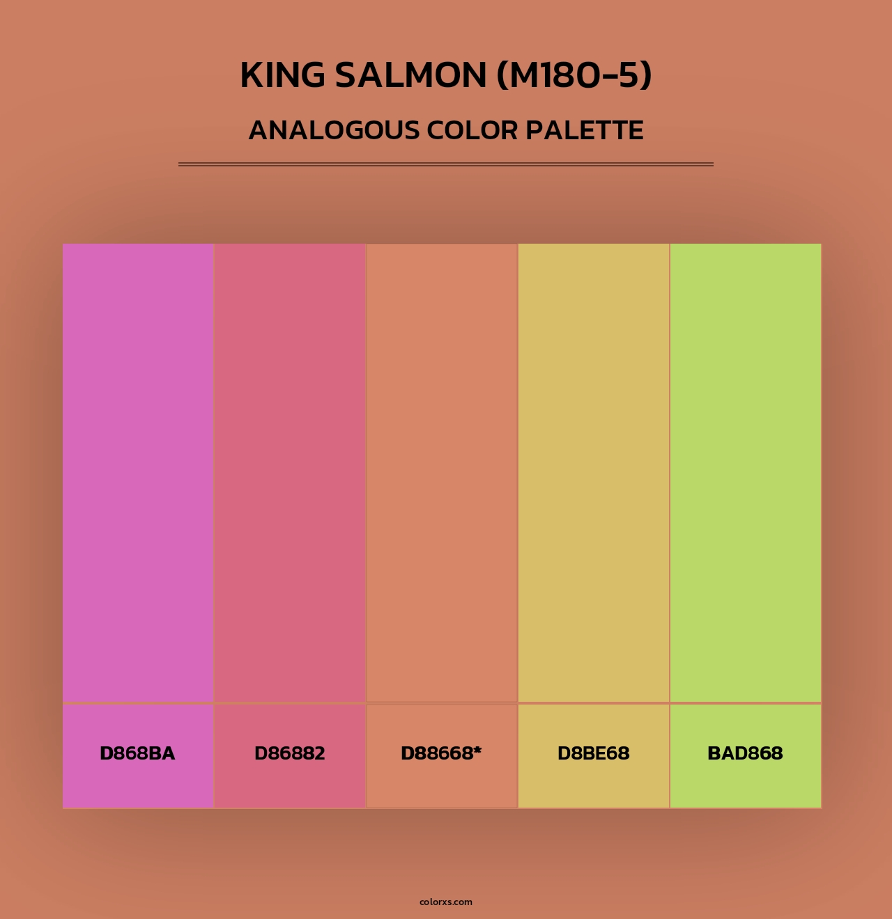 King Salmon (M180-5) - Analogous Color Palette